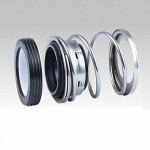 Spring Elastomer Mechanical Seal Fbd with O-Ring Used in Process Pump